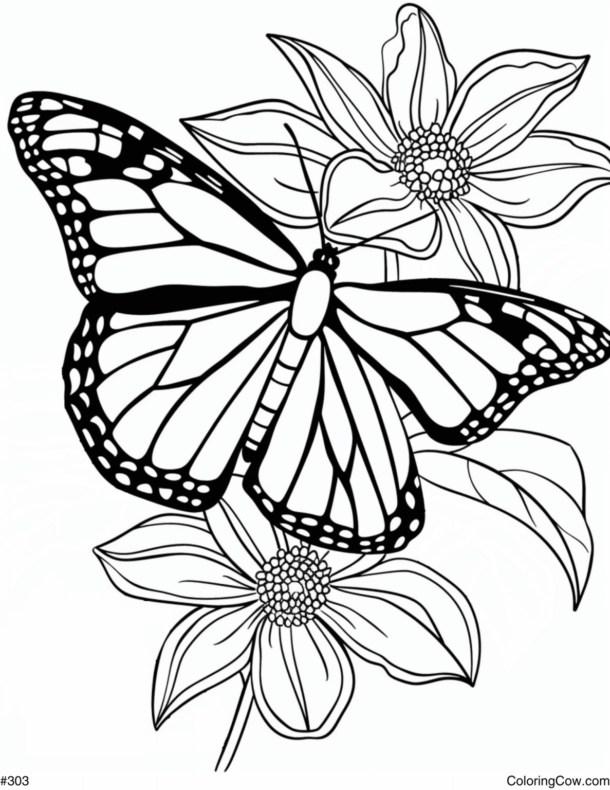Monarch Butterfly Coloring Page from Coloring Cow